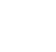 Medical Insurance Icon